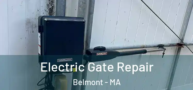 Electric Gate Repair Belmont - MA